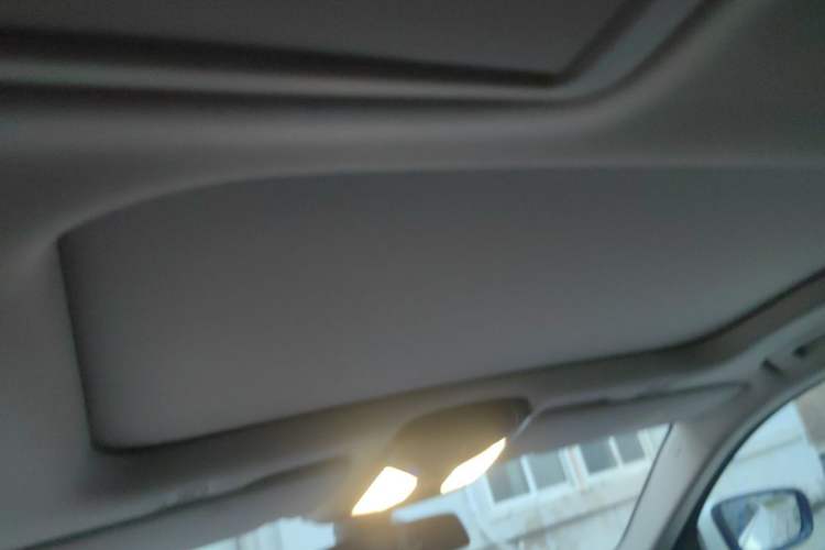 Used BMW 5 Series 2020 530Li Luxury Edition Premium Package Headliner
