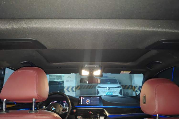 Used BMW 5 Series 2020 530Li Leading Model M Sport Package Headliner