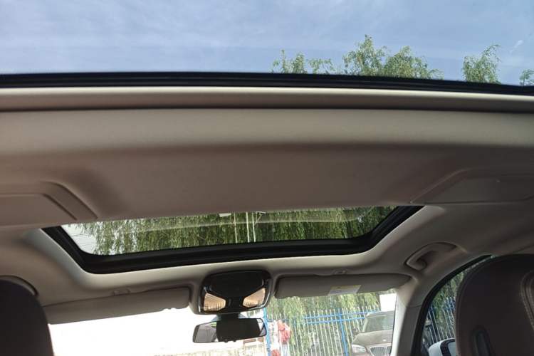 Used BMW 5 Series 2020 530Li xDrive Luxury Package Headliner