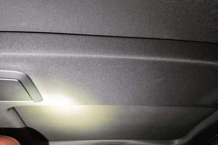 Used BMW 5 Series 2020 530Li Luxury Edition M Sport Package Headliner