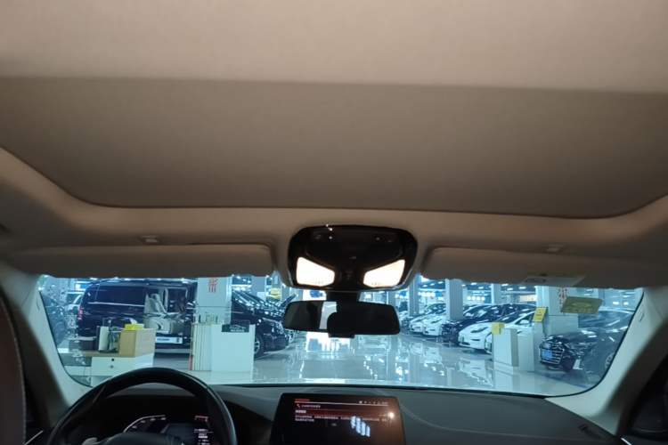Used BMW 5 Series 2020 530Li Luxury Edition Premium Package Headliner