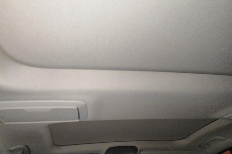 Used BMW 5 Series 2020 530Li Luxury Edition Premium Package Headliner