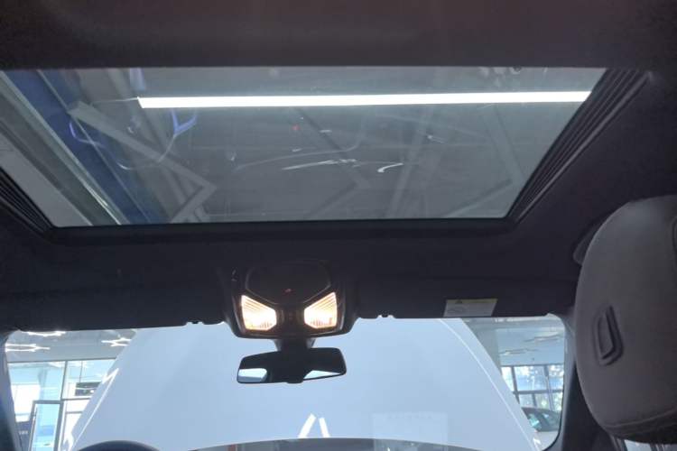 Used BMW 5 Series 2020 525Li M Sport Package Headliner