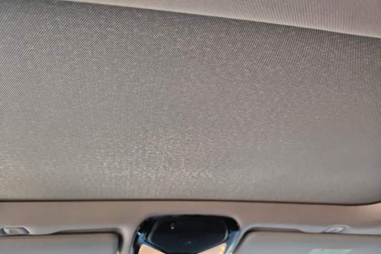 Used BMW 5 Series 2020 530Li Leading Edition Luxury Package Headliner