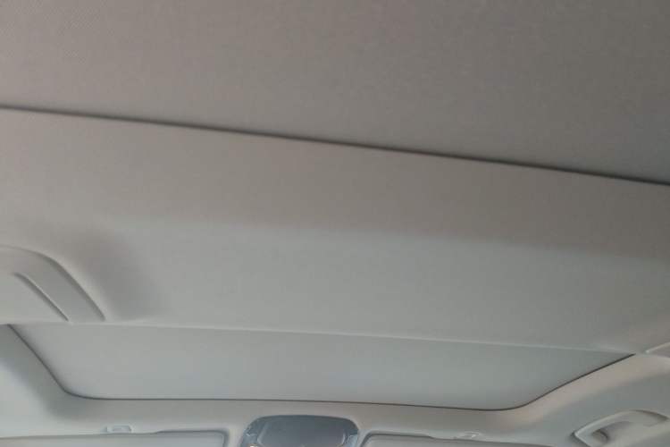 Used BMW 5 Series 2020 530Li Luxury Edition Premium Package Headliner