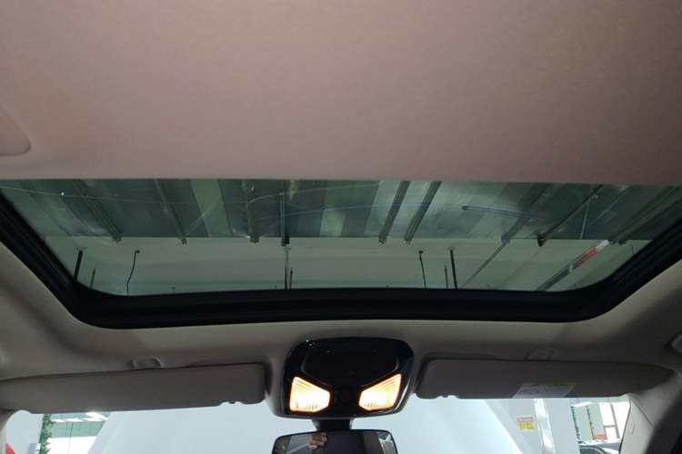 Used BMW 5 Series 2020 530Li xDrive Luxury Package Headliner