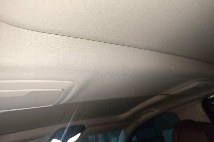 Used BMW 5 Series 2020 530Li Luxury Edition Premium Package Headliner
