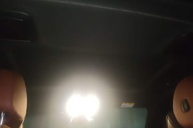 Used BMW 5 Series 2020 530Li Leading Model M Sport Package Headliner