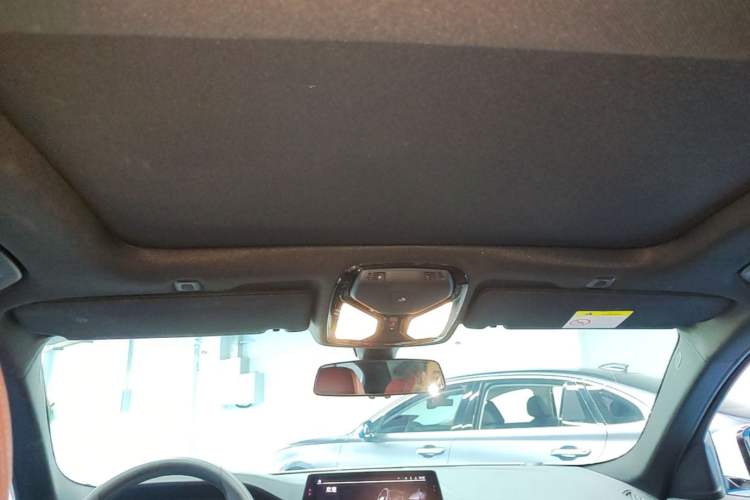Used BMW 5 Series 2020 530Li xDrive M Sport Package Headliner