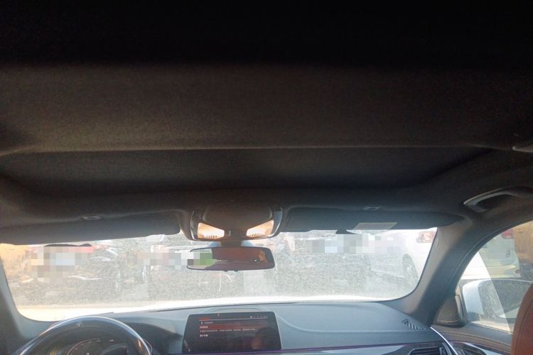 Used BMW 5 Series 2020 530Li Luxury Edition M Sport Package Headliner