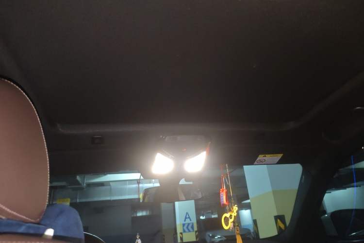Used BMW 5 Series 2020 525Li M Sport Package Headliner