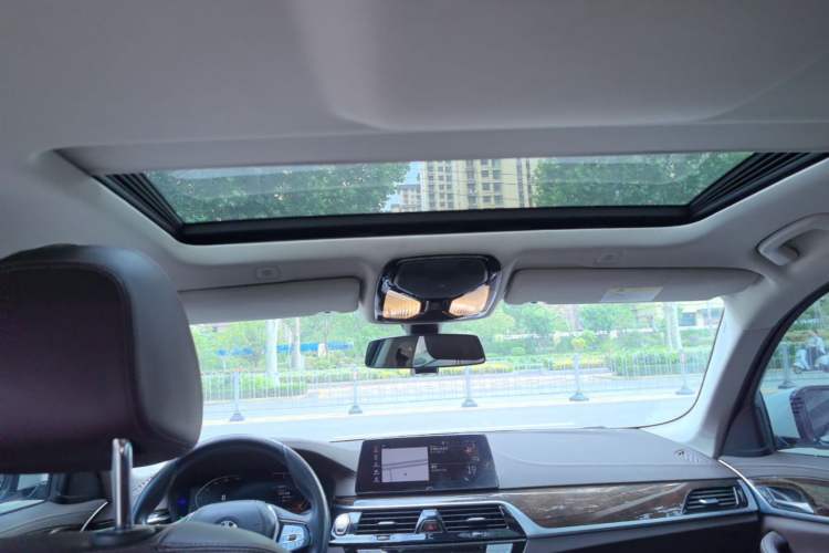 Used BMW 5 Series 2020 525Li Luxury Package Headliner