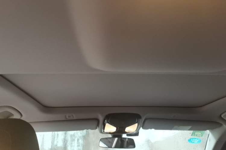 Used BMW 5 Series 2020 525Li Luxury Package Headliner