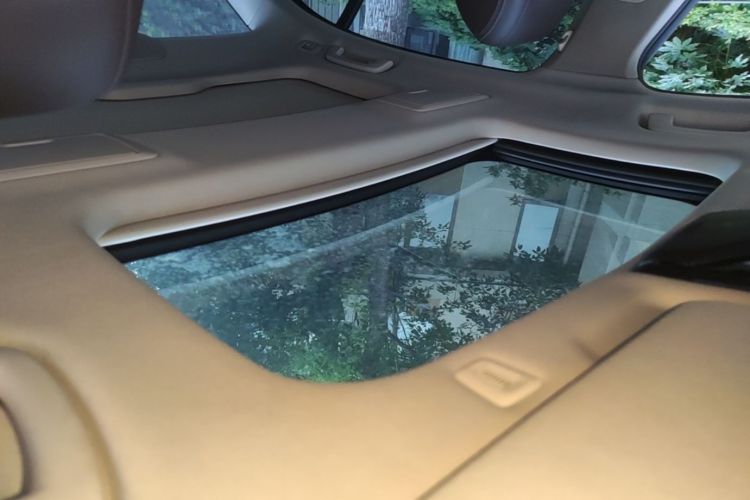Used BMW 5 Series 2020 530Li Leading Edition Luxury Package Headliner