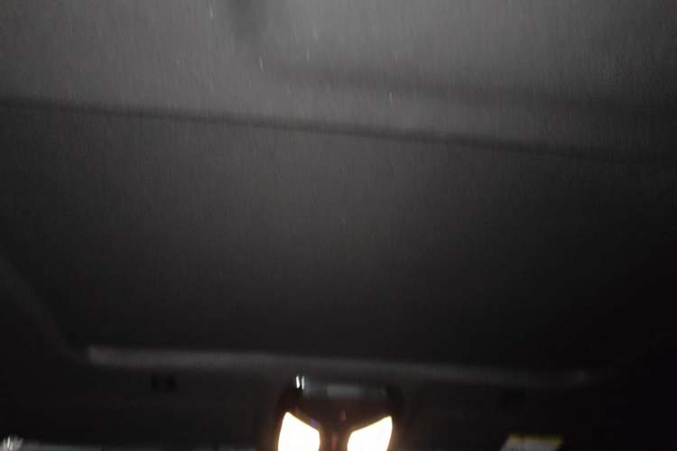 Used BMW 5 Series 2020 525Li M Sport Package Headliner