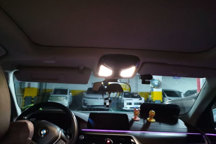 Used BMW 5 Series 2020 530Li Luxury Edition Premium Package Headliner