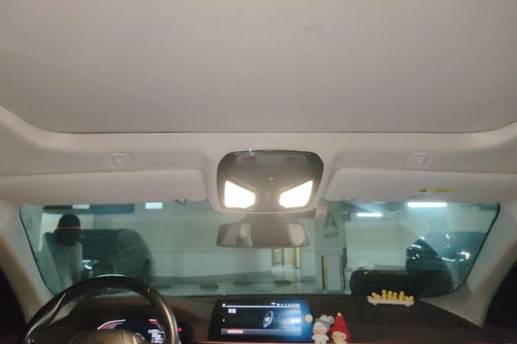 Used BMW 5 Series 2020 525Li Luxury Package Headliner