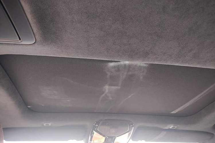 Used BMW 5 Series 2020 530Li xDrive M Sport Package Headliner