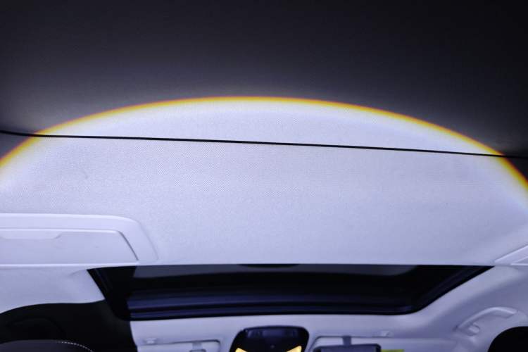 Used BMW 5 Series 2020 530Li Leading Edition Luxury Package Headliner