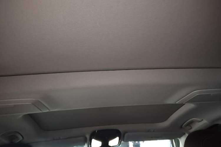 Used BMW 5 Series 2020 530Li Leading Edition Luxury Package Headliner