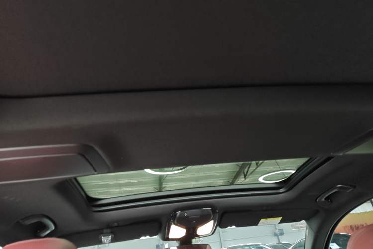 Used BMW 5 Series 2020 530Li Leading Model M Sport Package Headliner