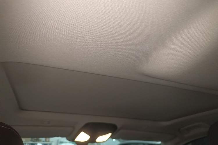 Used BMW 5 Series 2020 525Li Luxury Package Headliner