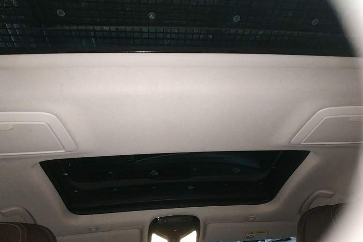 Used BMW 5 Series 2020 530Li Luxury Edition Premium Package Headliner