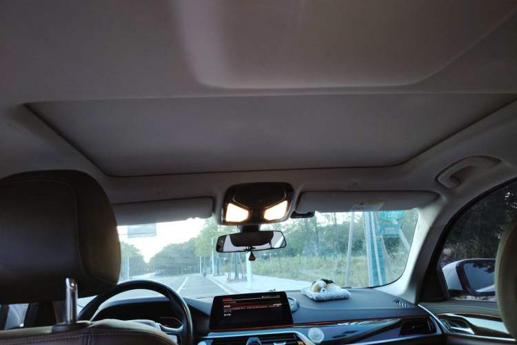 Used BMW 5 Series 2020 525Li Luxury Package Headliner