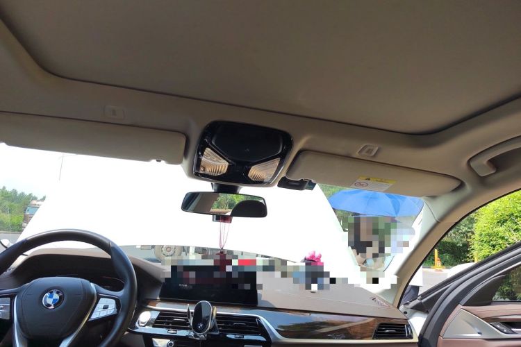 Used BMW 5 Series 2020 525Li Luxury Package Headliner