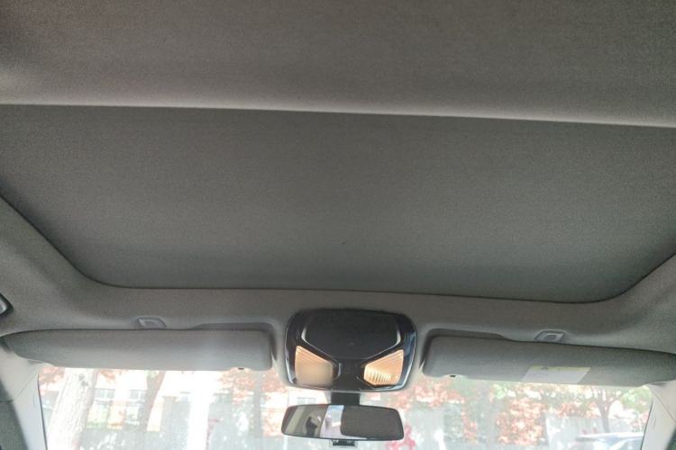 Used BMW 5 Series 2020 530Li Luxury Edition Premium Package Headliner