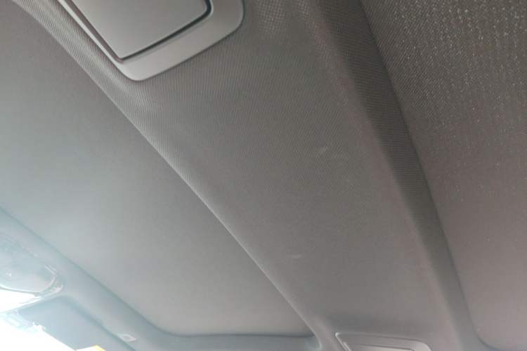 Used BMW 5 Series 2020 530Li Leading Model M Sport Package Headliner