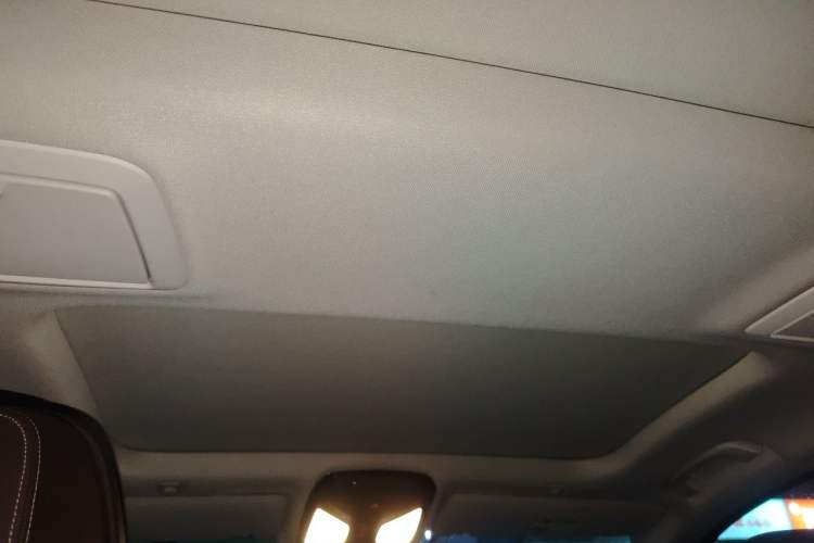 Used BMW 5 Series 2020 530Li Luxury Edition Premium Package Headliner