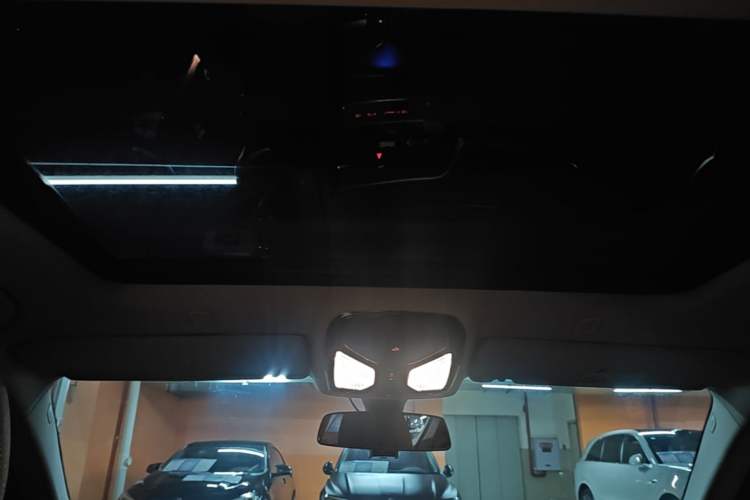 Used BMW 5 Series 2020 525Li Luxury Package Headliner