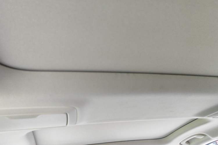 Used BMW 5 Series 2020 530Li Leading Edition Luxury Package Headliner