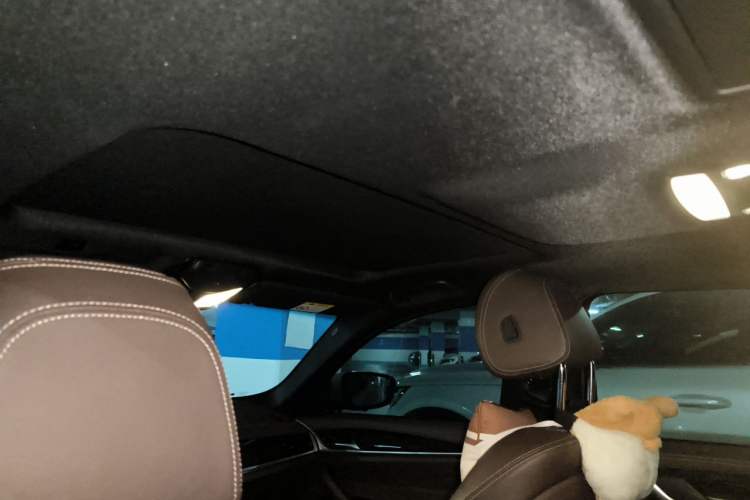 Used BMW 5 Series 2020 525Li M Sport Package Headliner