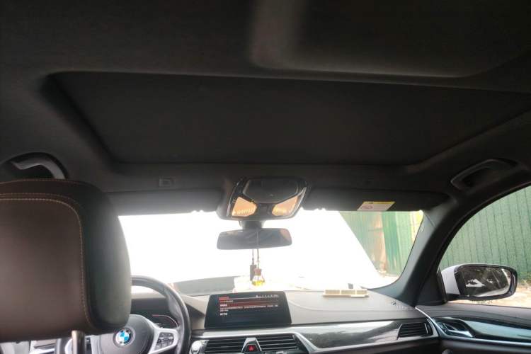 Used BMW 5 Series 2020 525Li M Sport Package Headliner