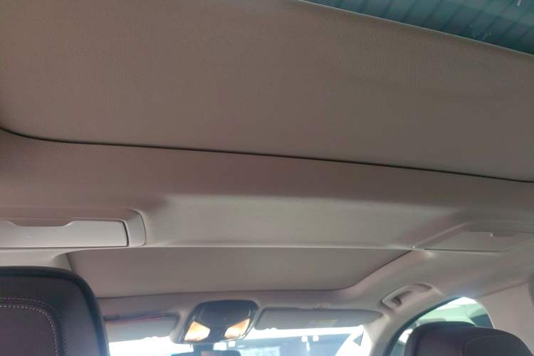 Used BMW 5 Series 2020 530Li Luxury Edition Premium Package Headliner