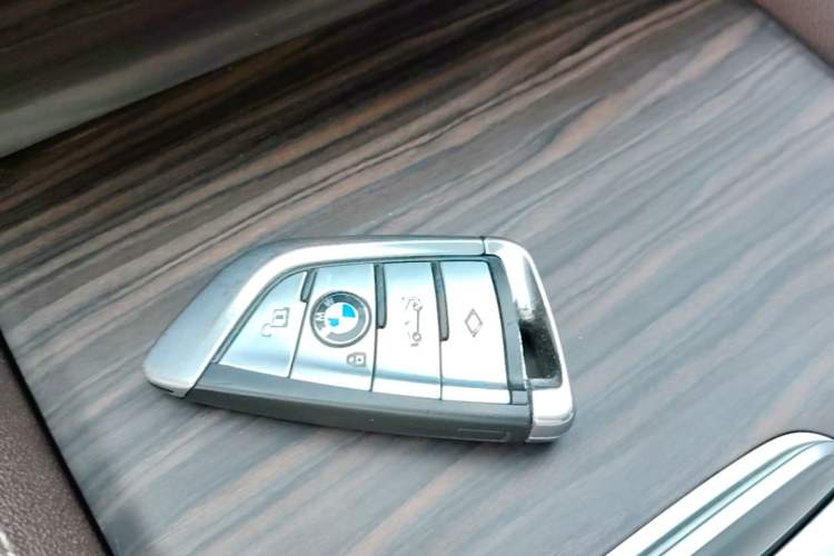 Used BMW 5 Series 2020 530Li Leading Edition Luxury Package Interior 1