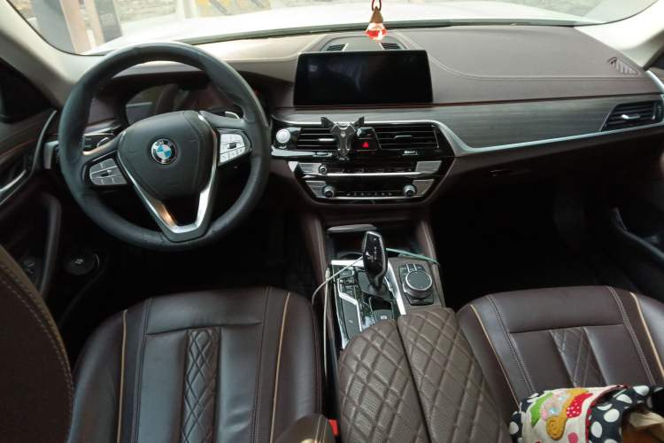 Used BMW 5 Series 2020 530Li Leading Edition Luxury Package Interior 2