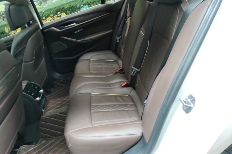 Used BMW 5 Series 2020 530Li Luxury Edition Premium Package Interior 4
