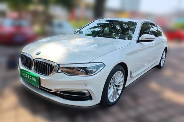 Used BMW 5 Series 2020 530Li Leading Edition Luxury Package