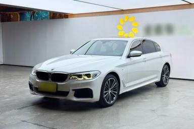 Used BMW 5 Series 2020 530Li Luxury Edition M Sport Package