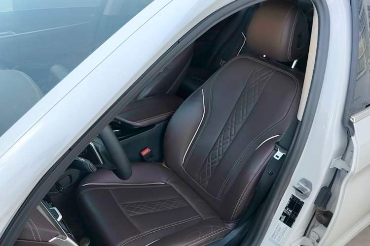 Used BMW 5 Series 2020 530Li Leading Edition Luxury Package Left Front Seat