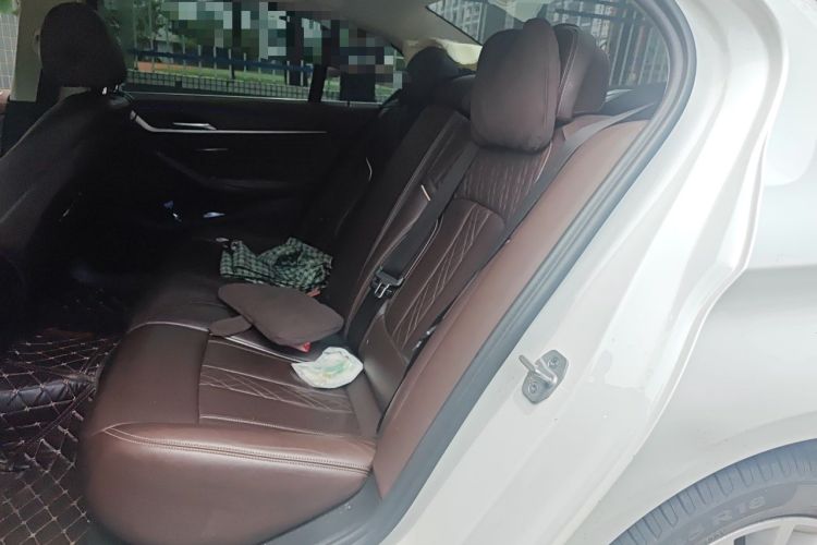 Used BMW 5 Series 2020 530Li Leading Edition Luxury Package Left Rear Seat
