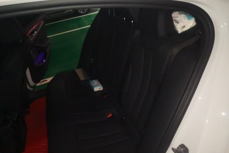 Used BMW 5 Series 2020 530i Sport Line M Sport Package Left Rear Seat