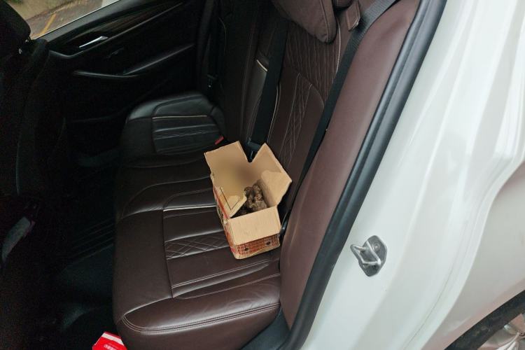 Used BMW 5 Series 2020 530Li Leading Edition Luxury Package Left Rear Seat