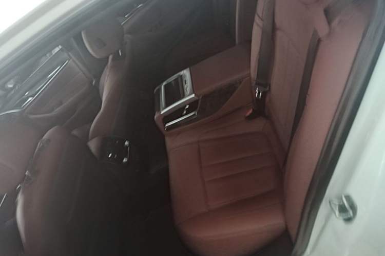 Used BMW 5 Series 2020 530Li Luxury Edition M Sport Package Left Rear Seat