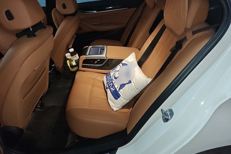 Used BMW 5 Series 2020 530Li Luxury Edition M Sport Package Left Rear Seat