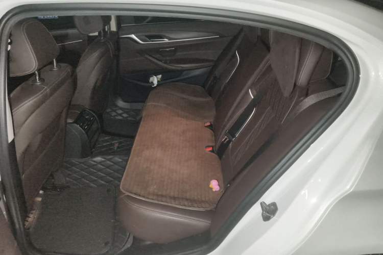 Used BMW 5 Series 2020 530Li Leading Edition Luxury Package Left Rear Seat