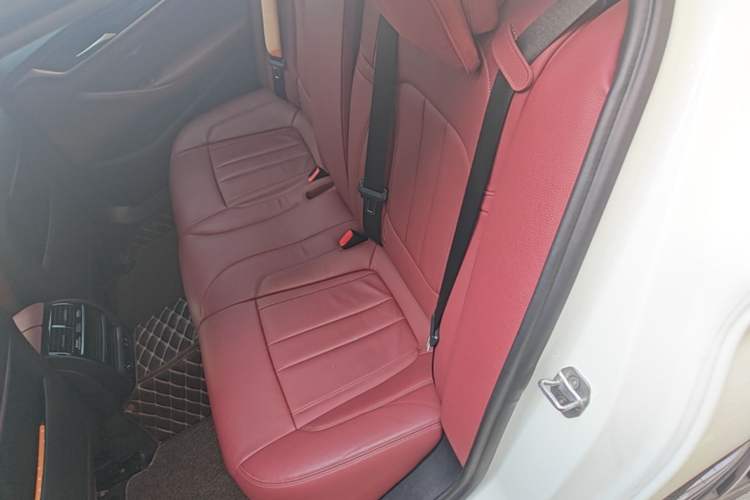 Used BMW 5 Series 2020 530Li Leading Model M Sport Package Left Rear Seat